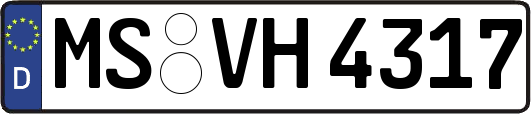MS-VH4317