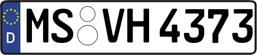 MS-VH4373