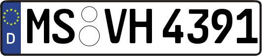 MS-VH4391