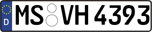 MS-VH4393