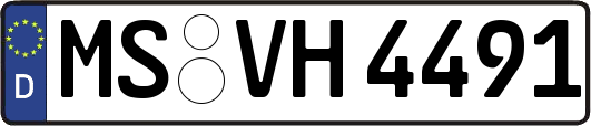 MS-VH4491