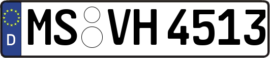 MS-VH4513