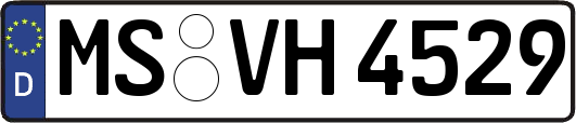 MS-VH4529