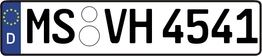 MS-VH4541