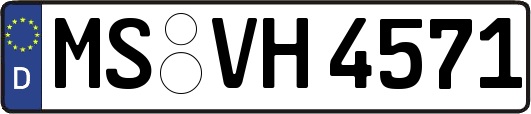 MS-VH4571
