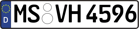 MS-VH4596