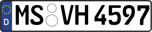 MS-VH4597