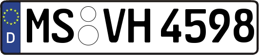 MS-VH4598