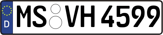 MS-VH4599