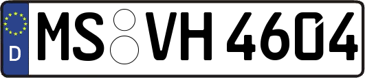 MS-VH4604
