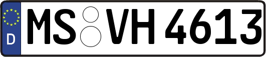 MS-VH4613