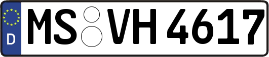 MS-VH4617