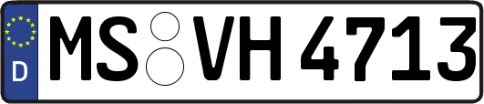 MS-VH4713