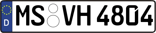 MS-VH4804