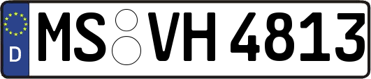 MS-VH4813