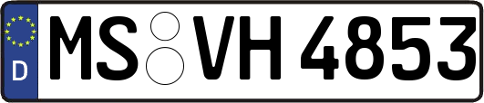 MS-VH4853