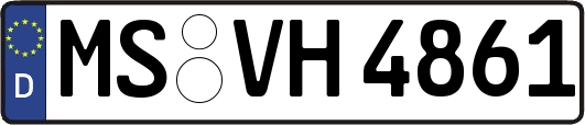 MS-VH4861