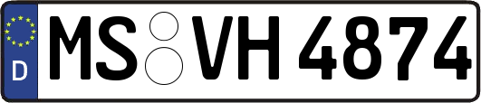 MS-VH4874