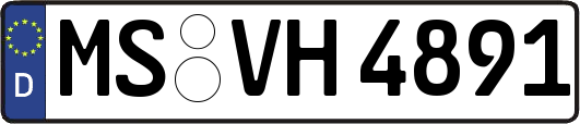 MS-VH4891