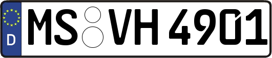 MS-VH4901