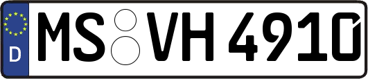 MS-VH4910