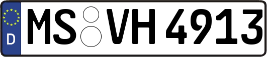MS-VH4913