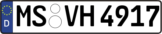 MS-VH4917