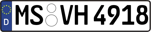 MS-VH4918
