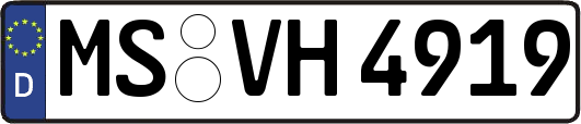 MS-VH4919