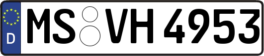 MS-VH4953