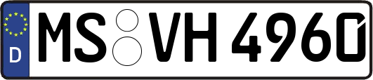 MS-VH4960