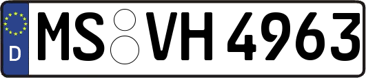 MS-VH4963