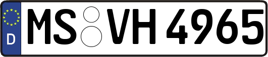 MS-VH4965