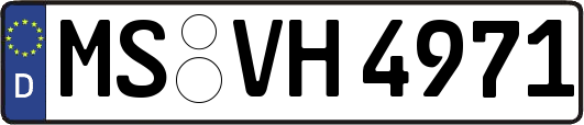 MS-VH4971