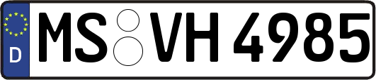 MS-VH4985