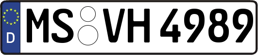 MS-VH4989