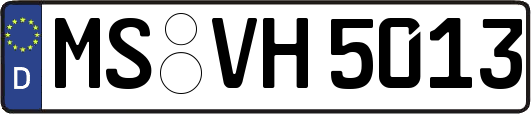 MS-VH5013