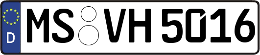MS-VH5016