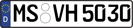 MS-VH5030