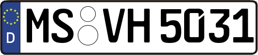 MS-VH5031