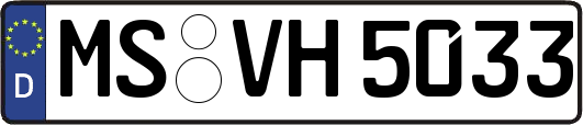 MS-VH5033