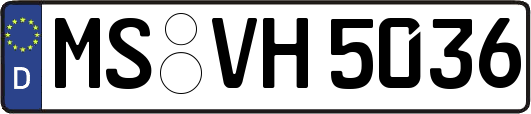 MS-VH5036