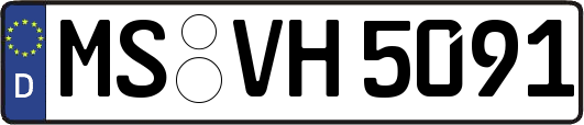 MS-VH5091