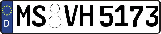 MS-VH5173