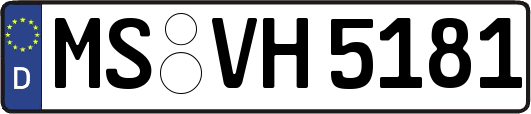MS-VH5181