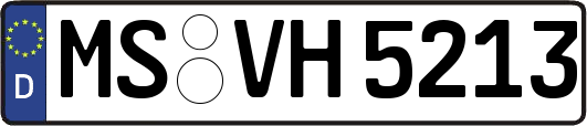 MS-VH5213