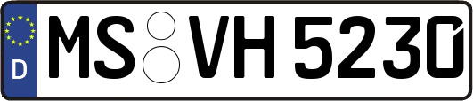 MS-VH5230