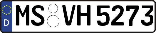 MS-VH5273