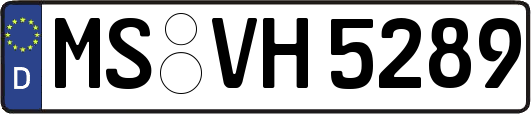 MS-VH5289