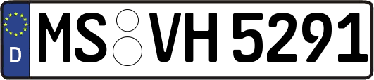 MS-VH5291